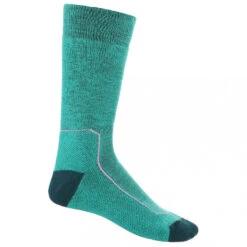 Icebreaker - Women's Hike+ Medium Crew - Chaussettes De Randonnée